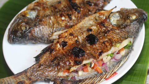 Inihaw Na Tilapia Nilasing Na Tilapia Recipe Panlasang Pinoy